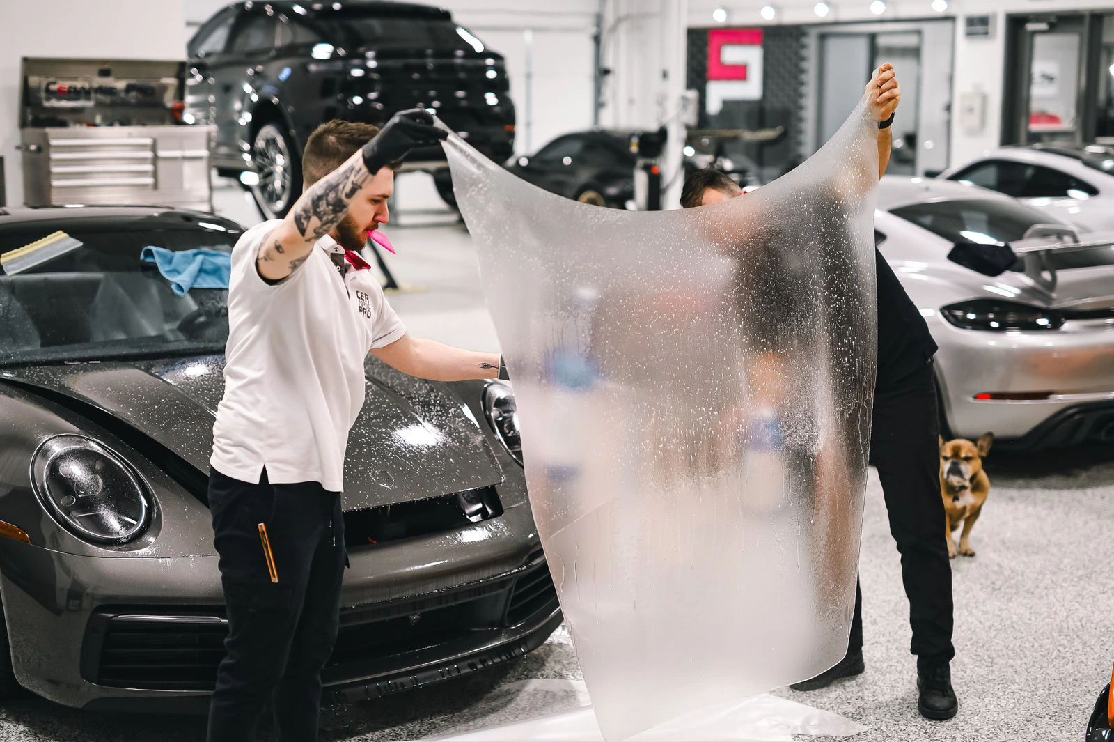 Paint Protection Film